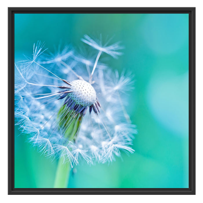 Schöner weißer Löwenzahn Schattenfugenrahmen Quadratisch 70x70