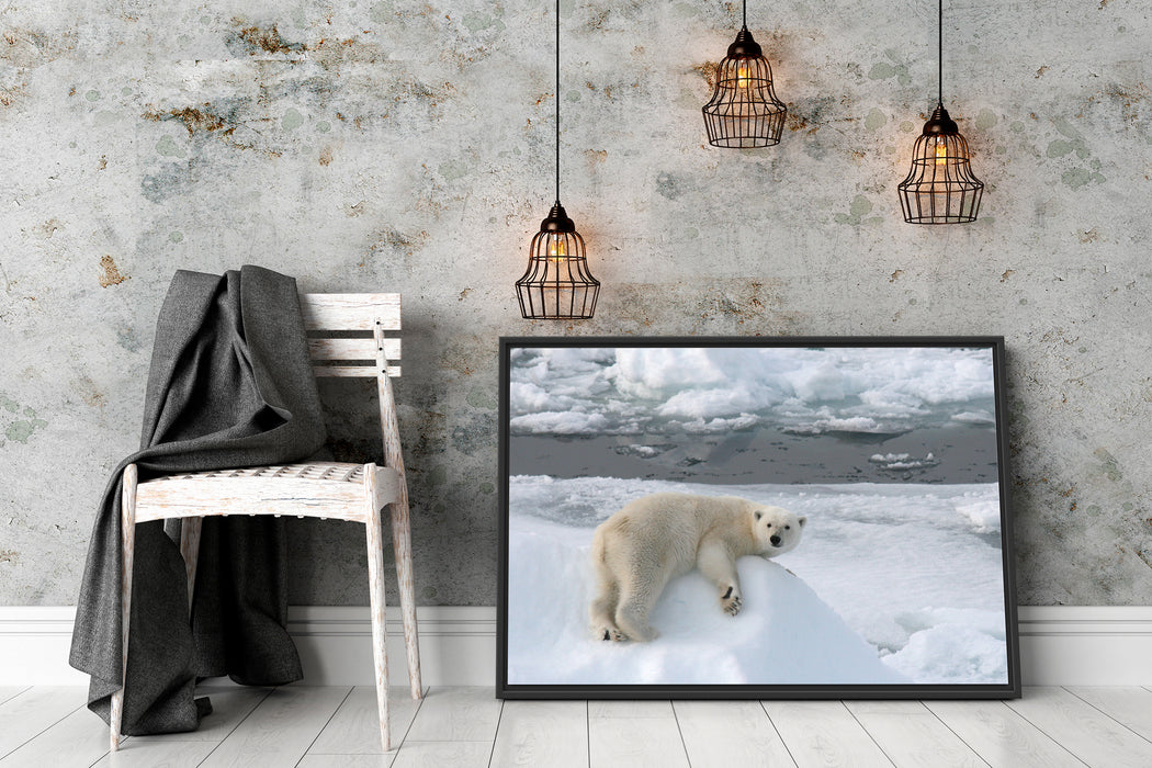 Eisbär auf Eisberg Schattenfugenrahmen Wohnzimmer