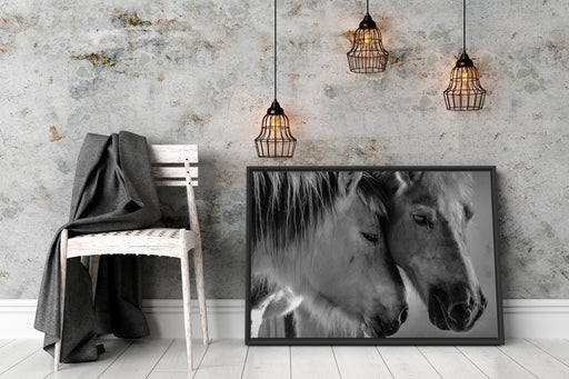zwei liebevolle Pferde Schattenfugenrahmen Wohnzimmer