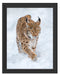Luchs im Schnee Schattenfugenrahmen 38x30