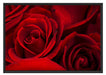 rote Rosen Schattenfugenrahmen 100x70