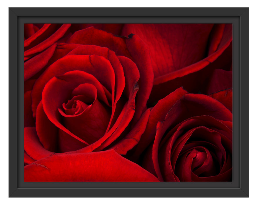 rote Rosen Schattenfugenrahmen 38x30