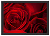 rote Rosen Schattenfugenrahmen 55x40