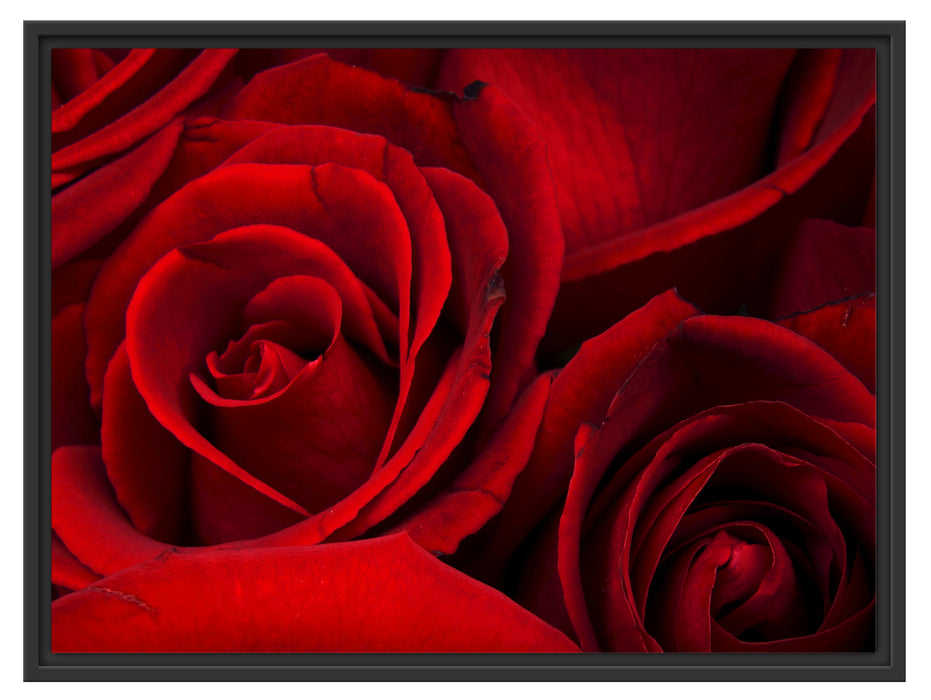 rote Rosen Schattenfugenrahmen 80x60