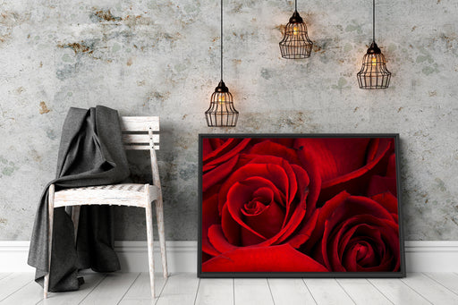 rote Rosen Schattenfugenrahmen Wohnzimmer