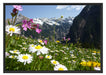 Wunderschöne Blumen Alpenwiese Schattenfugenrahmen 100x70