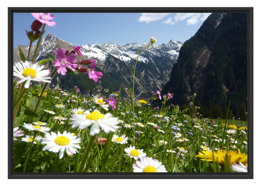 Wunderschöne Blumen Alpenwiese Schattenfugenrahmen 100x70