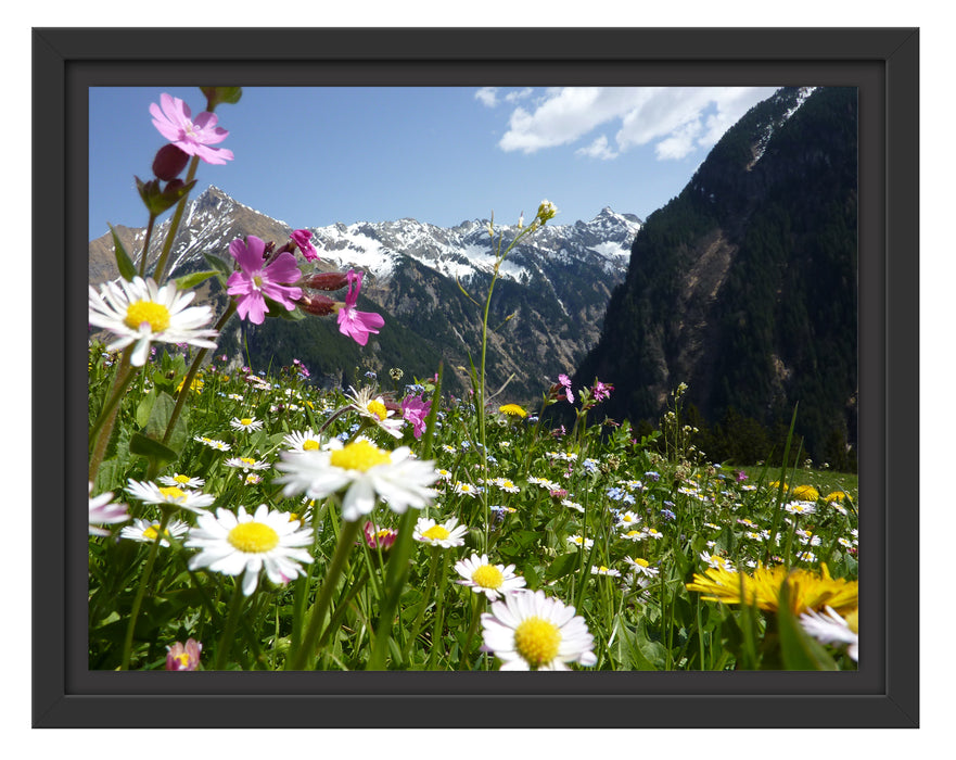 Wunderschöne Blumen Alpenwiese Schattenfugenrahmen 38x30