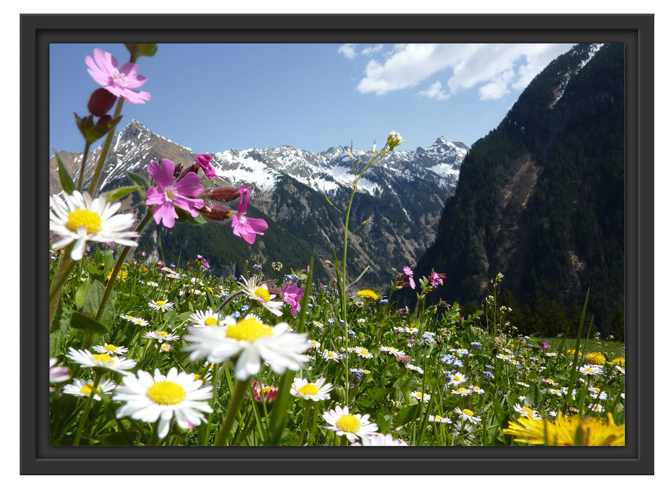 Wunderschöne Blumen Alpenwiese Schattenfugenrahmen 55x40