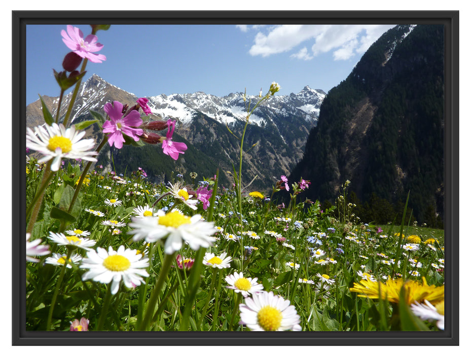 Wunderschöne Blumen Alpenwiese Schattenfugenrahmen 80x60