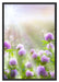 Kleeblüten im Sonnenschein Schattenfugenrahmen 100x70
