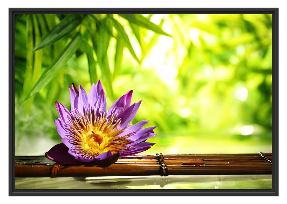 Pixxprint Seerose auf Bambus Wellness, im Schwebe-Effekt Bilderrahmen