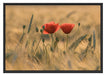 Zwei schöne Mohnblumen Schattenfugenrahmen 100x70