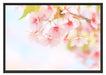 Kirschblüten an Baum Schattenfugenrahmen 100x70
