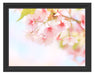 Kirschblüten an Baum Schattenfugenrahmen 38x30