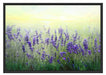 Schöner Lavendel im Regen Schattenfugenrahmen 100x70