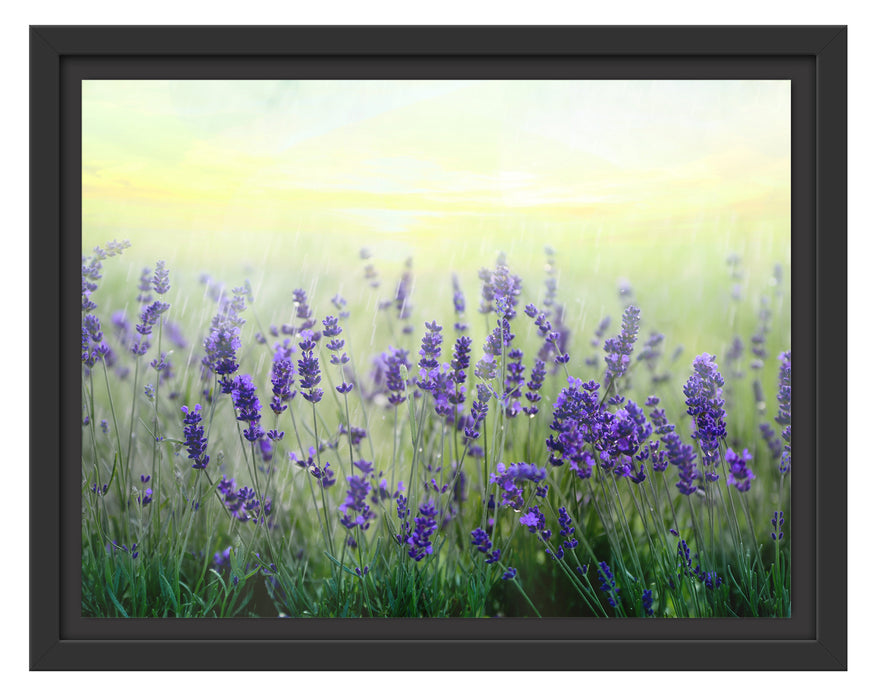 Schöner Lavendel im Regen Schattenfugenrahmen 38x30