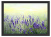 Schöner Lavendel im Regen Schattenfugenrahmen 55x40