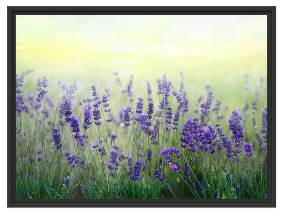 Schöner Lavendel im Regen Schattenfugenrahmen 80x60