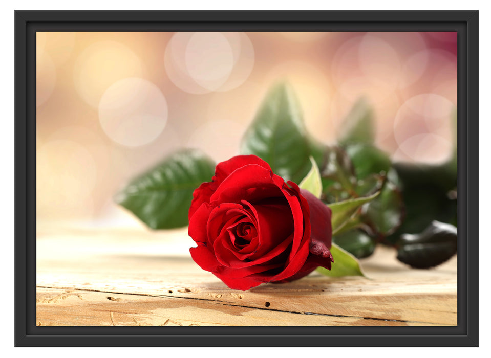 Rose auf Holztisch Schattenfugenrahmen 55x40