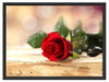 Rose auf Holztisch Schattenfugenrahmen 80x60