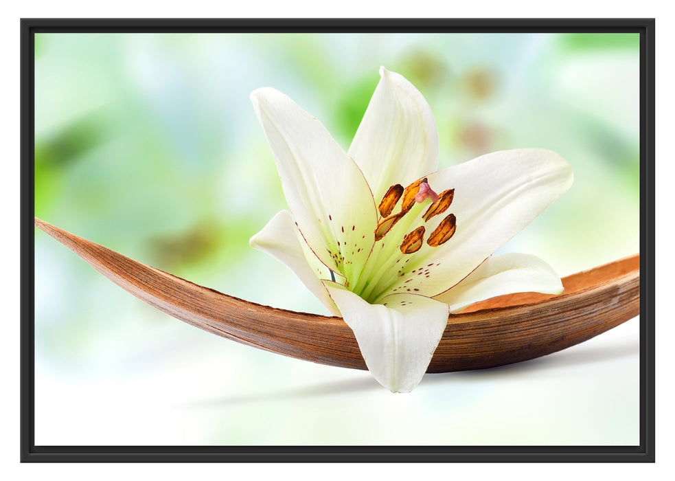 Pixxprint Lilie Blüte Bananenblatt, im Schwebe-Effekt Bilderrahmen