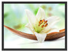 Lilie Blüte Bananenblatt Schattenfugenrahmen 80x60