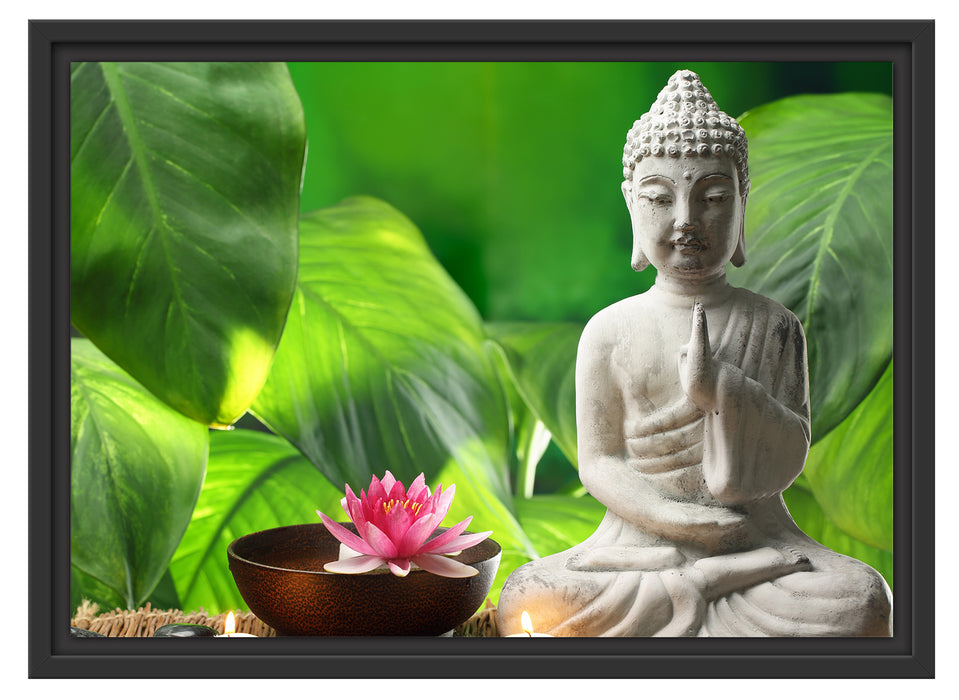 Seerose & Buddha Statue Schattenfugenrahmen 55x40