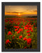 Mohnwiese im Sonnenuntergang Schattenfugenrahmen 38x30