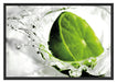 Limette fällt in Wasser Schattenfugenrahmen 100x70