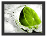 Limette fällt in Wasser Schattenfugenrahmen 38x30