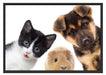 Trio Hund Katze Meerschwein Schattenfugenrahmen 100x70