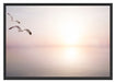 Möwen am Meer bei Sonnenaufgang Schattenfugenrahmen 100x70