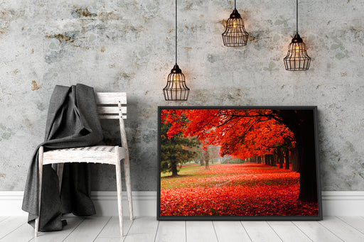 Rot gefärbter Park im Herbst Schattenfugenrahmen Wohnzimmer