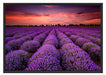 Lila Lavendel Provence Schattenfugenrahmen 100x70