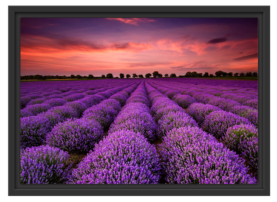 Lila Lavendel Provence Schattenfugenrahmen 55x40