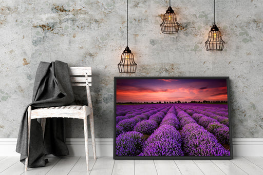 Lila Lavendel Provence Schattenfugenrahmen Wohnzimmer