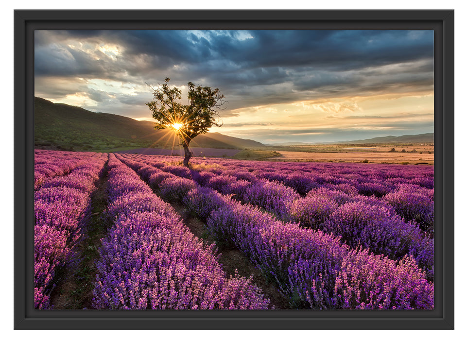 Lavendel Provence mit Baum Schattenfugenrahmen 55x40