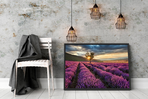 Lavendel Provence mit Baum Schattenfugenrahmen Wohnzimmer