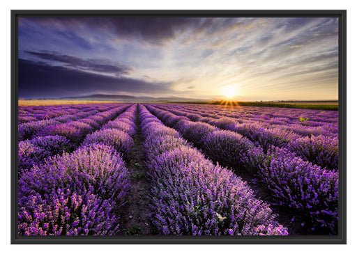 Lavendel Provence Landschaft Schattenfugenrahmen 100x70