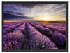 Lavendel Provence Landschaft Schattenfugenrahmen 80x60