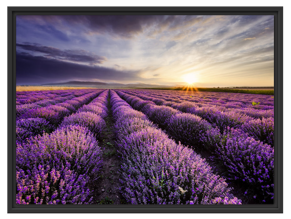 Lavendel Provence Landschaft Schattenfugenrahmen 80x60