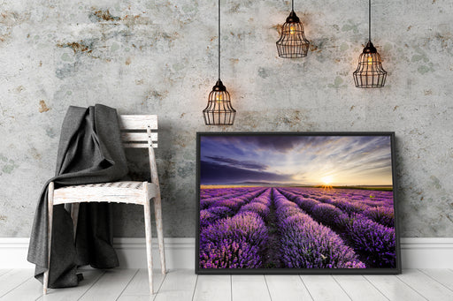 Lavendel Provence Landschaft Schattenfugenrahmen Wohnzimmer