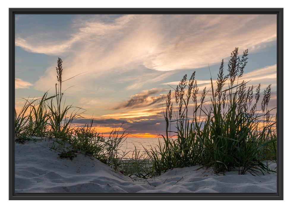 Pixxprint Gras am Strand bei Sonnenuntergang, im Schwebe-Effekt Bilderrahmen