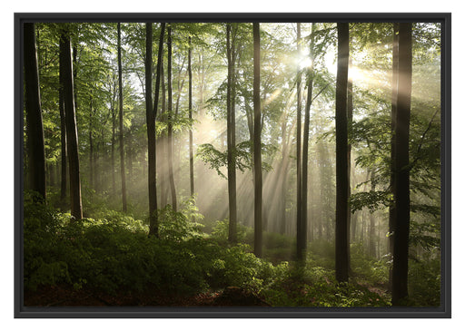 Sonnenstrahlen in Wäldern Schattenfugenrahmen 100x70