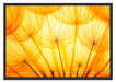 Pusteblumen oranges Licht Schattenfugenrahmen 100x70