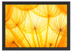Pusteblumen oranges Licht Schattenfugenrahmen 55x40