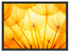 Pusteblumen oranges Licht Schattenfugenrahmen 80x60