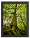 Riesiger Baum im Dschungel Schattenfugenrahmen 38x30