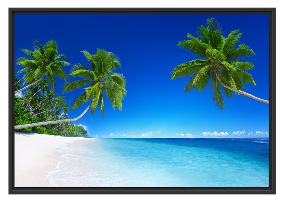 Pixxprint Palmen über dem Meer, im Schwebe-Effekt Bilderrahmen